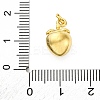 304 Stainless Steel Charms LS-STAS-U049-01A-04G-3