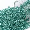 TOHO Round Seed Beads SEED-JPTR11-0954F-1