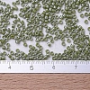 MIYUKI Delica Beads SEED-X0054-DB0263-4