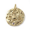 Brass Micro Pave Cubic Zirconia Pendants X-ZIRC-G157-03C-01G-1