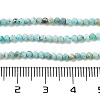Natural HuBei Turquoise Beads Strands LS-G-G792-38-01-4