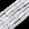 Natural Freshwater Shell Beads Strands SH-CBA2978-21B-1