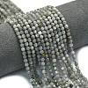 Natural Labradorite Beads Strands G-A260-A44-01B-1
