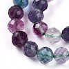 Natural Rainbow Fluorite Beads Strands G-T140-22A-4