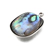 304 Stainless Steel Pave Natural Paua Shell Pendants STAS-Z125-01B-P-2