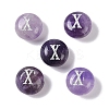 Natural Amethyst Beads G-L524-20X-03-1