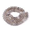 Natural Agate Beads Strands G-Q613-01E-01-3