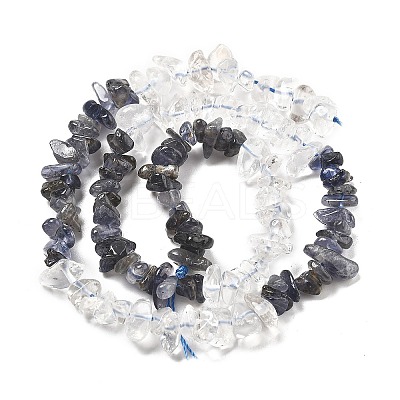 Natural Quartz Crystal & Iolite Beads Strands G-L610-A30-01-1