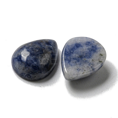 Natural Blue Spot Jasper Cabochons G-Q173-02C-18-1