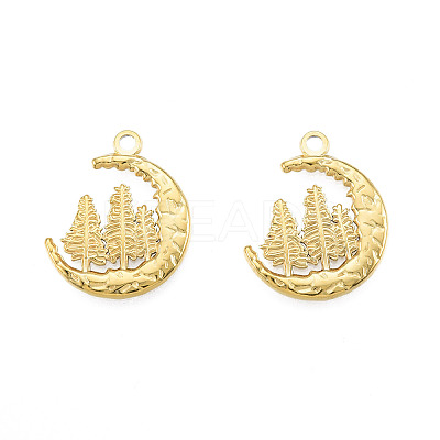 Ion Plating(IP) 201 Stainless Steel Pendants LS-STAS-N098-233LG-1