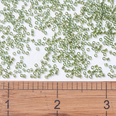 MIYUKI Delica Beads LS-X-SEED-J020-DB1247-1