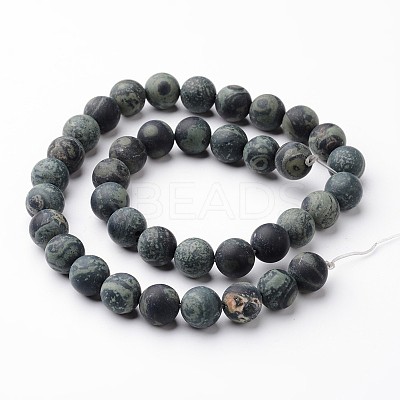 Frosted Round Natural Kambaba Jasper Bead Strands G-J346-30-10mm-1