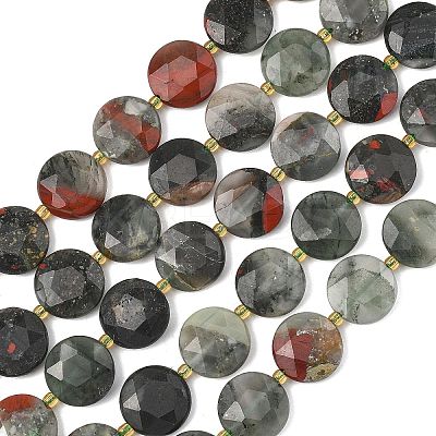 Natural Bloodstone Beads Strands G-A292-A09-01-1