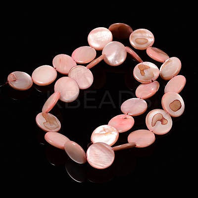 Natural Shell Beads Strands PBB251Y-6-1