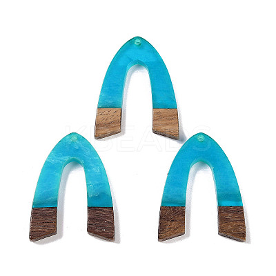 Resin & Wood Pendants WOOD-F015-16F-1