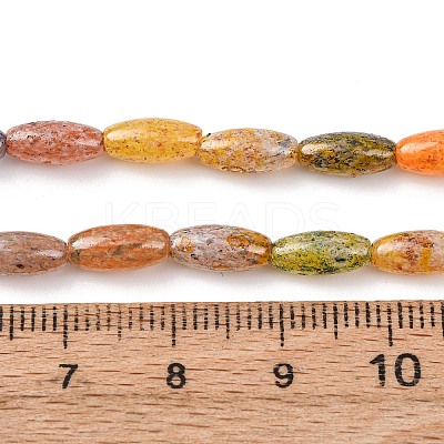 Handmade Lampwork Beads X-LAMP-B051-02B-1