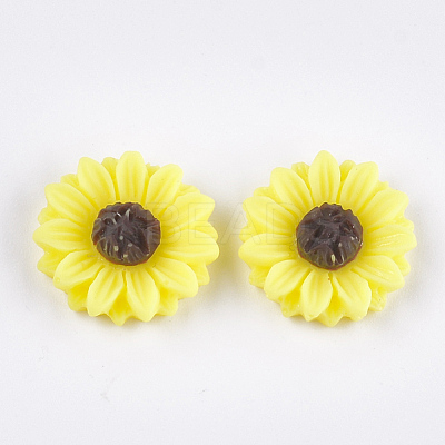Resin Cabochons X-CRES-T010-60J-1