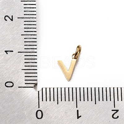 304 Stainless Steel Charms SA-CBABF3F-01G-V-1