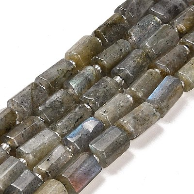 Natural Labradorite Beads Strands G-G068-A10-01-1