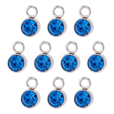10Pcs Glass Rhinestone Charms STAS-TA0003-26E-1
