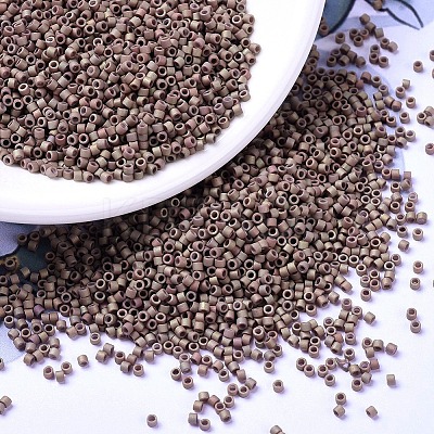MIYUKI Delica Beads SEED-MY11-DB1061-1