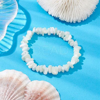 Natural Trochus Shell Chip Beaded Stretch Bracelets for Women Men BJEW-JB10549-1