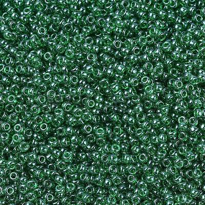 MIYUKI Round Rocailles Beads SEED-G007-RR0173-1