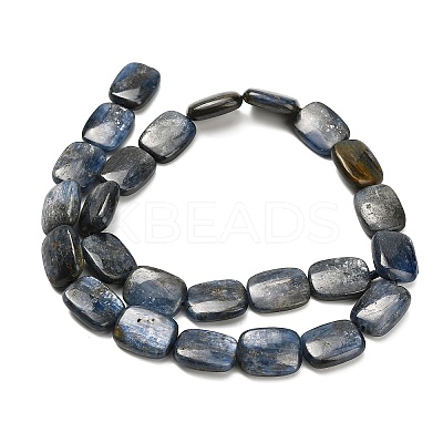 Natural Kyanite Beads Strands G-H335-I01-12x16mm-1
