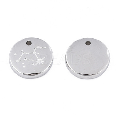 Non-Tarnish 316 Surgical Stainless Steel Charms STAS-S116-418H-P-1