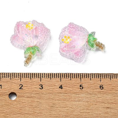 Transparent Epoxy Resin Decoden Cabochons CRES-I030-01A-1