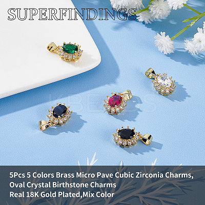 5Pcs 5 Colors Brass Micro Pave Cubic Zirconia Charms KK-FH0003-24-1