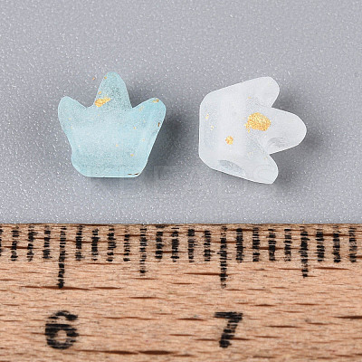 Frosted Transparent Acrylic Beads FACR-T009-01C-1