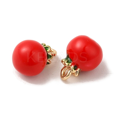 Brass Enamel Charms KK-S368-02G-02-1