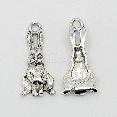 Tibetan Style Alloy Pendants LS-PALLOY-A15373-AS-1