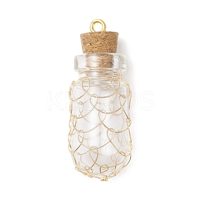 Glass Bottles Pendants PALLOY-JF03918-1