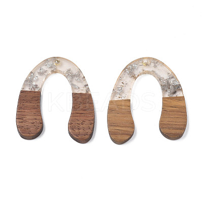Transparent Resin & Waxed Walnut Wood Pendants RESI-Q211-01B-1