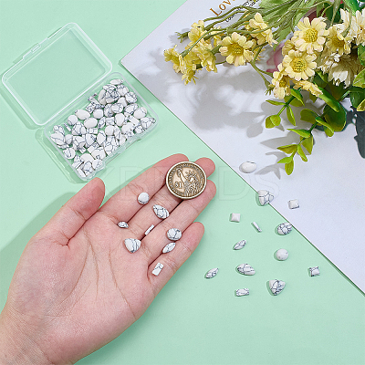 DIY Jewelry Making Finding Kits DIY-PH0030-09-1