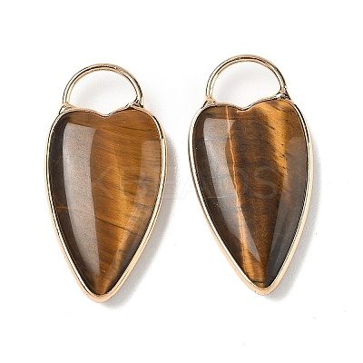 Natural Tiger Eye Pendants G-I393-01G-06-1