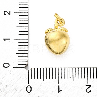 304 Stainless Steel Charms LS-STAS-U049-01A-04G-1
