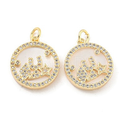 Brass Micro Pave Clear Cubic Zirconia Pendants KK-L211-018G-02-1