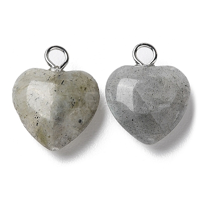 Natural Labradorite Pendants G-E603-01P-08-1