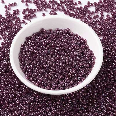 MIYUKI Round Rocailles Beads SEED-X0055-RR0313-1