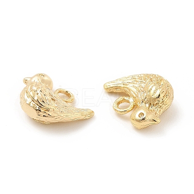 Brass Charms KK-G447-12G-1