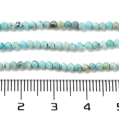 Natural HuBei Turquoise Beads Strands LS-G-G792-38-01-1