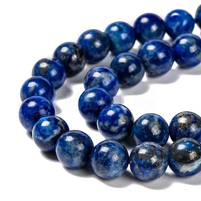 Natural Lapis Lazuli Bead Strands G-G953-01-8mm-1