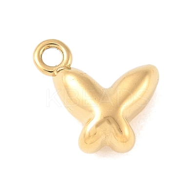 304 Stainless Steel Charms STAS-Q351-04G-1