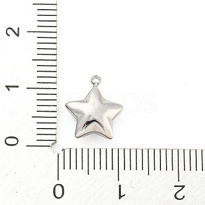 Non-Tarnish 304 Stainless Steel Charms STAS-P333-08P-1