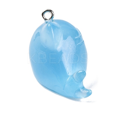 Luminous Resin Pendants LS-RESI-U001-01E-1