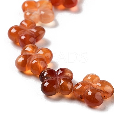 Natural Red Agate Beads Strands G-P520-A06-01-1