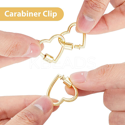 9Pcs 3 Colors Alloy Screw Carabiner Lock Charms FIND-DC0005-63-1